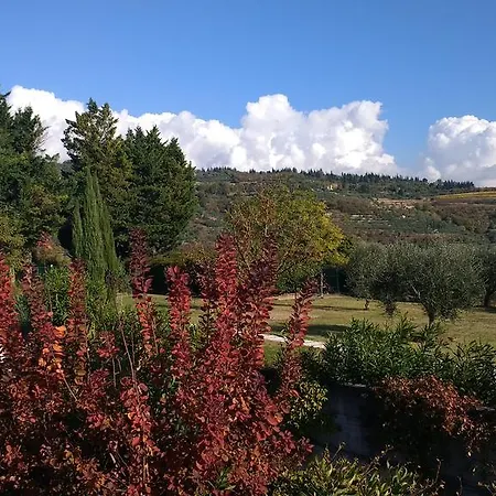 Roncatti