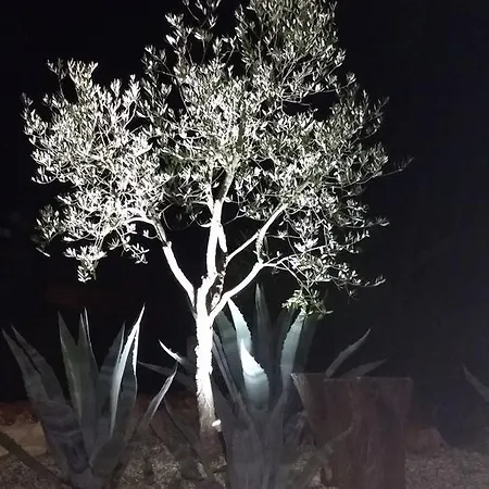 Roncatti Parona di Valpolicella