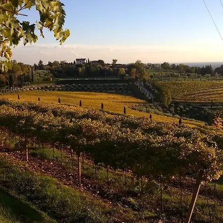 Roncatti