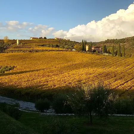 Country house Roncatti