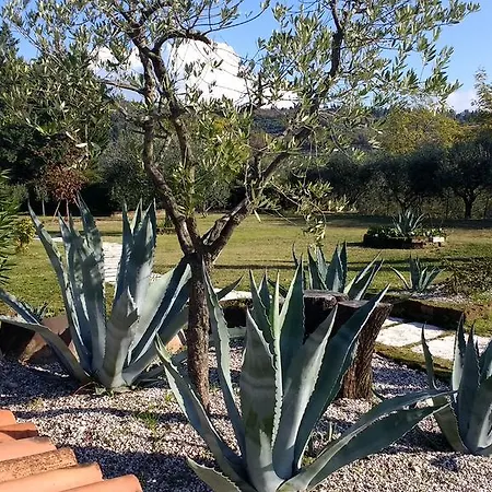 Roncatti Parona di Valpolicella