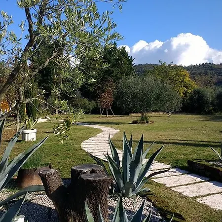 Roncatti