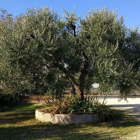 Country house Roncatti *