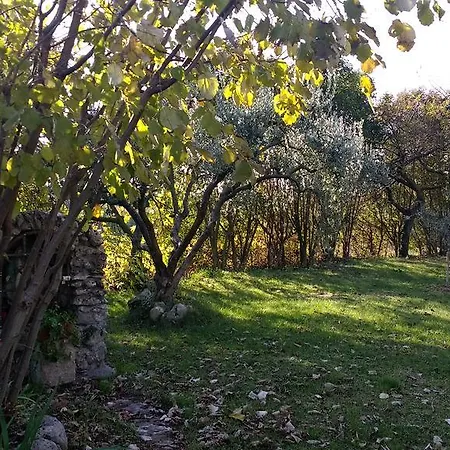 Roncatti